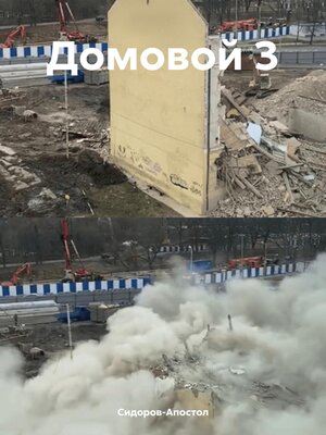 cover image of Домовой 3